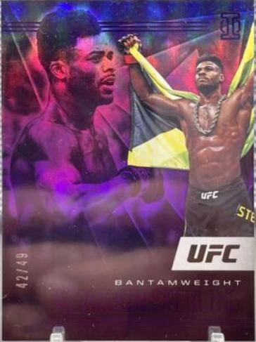 Aljamain Sterling 2021 Panini Chronicles UFC Base Illusions #171 Pink