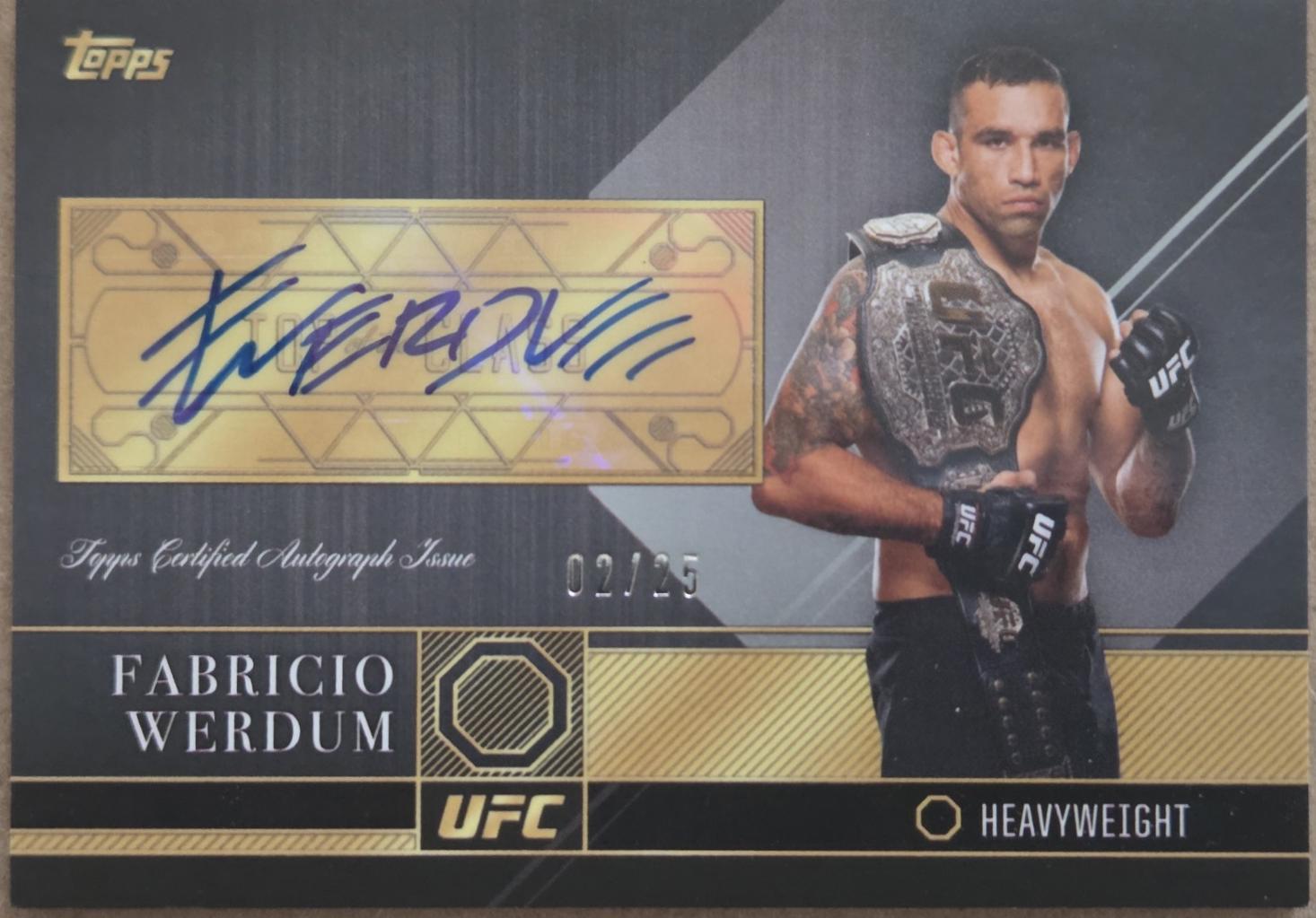 Fabricio Werdum 2016 Topps UFC Top of the Class Top of the Class Autographs #TCA-FW Silver
