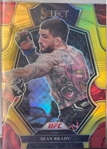 Sean Brady 2023 Panini Select UFC Premier Level #125 Gold