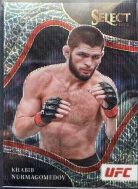 Khabib Nurmagomedov 2022 Panini Select UFC Octagonside #284 Elephant