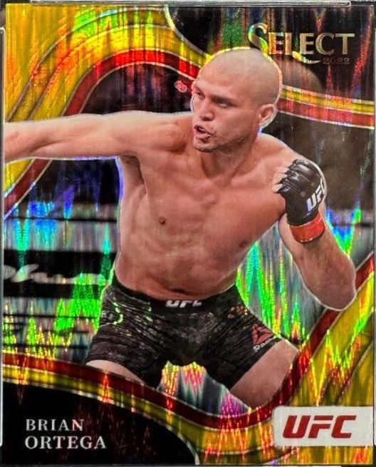 Brian Ortega 2022 Panini Select UFC Octagonside #255 Gold