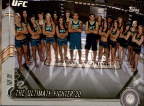 Base 2015 Topps UFC Chronicles Base #251 Silver