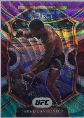 Jared Cannonier 2021 Panini Select UFC Octagonside #245 Scope