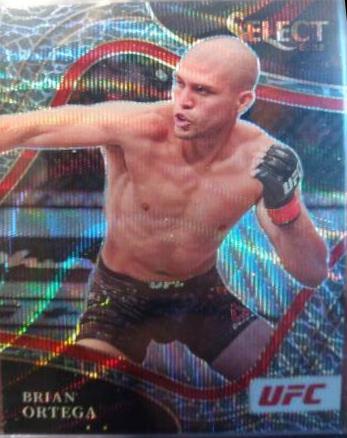 Brian Ortega 2022 Panini Select UFC Octagonside #255 Elephant
