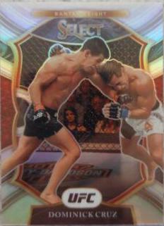 Dominick Cruz 2021 Panini Select UFC Premier Level #111 Silver