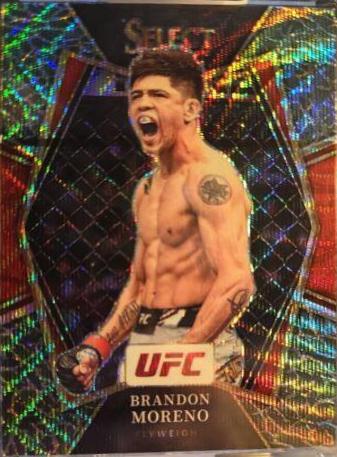 Brandon Moreno 2022 Panini Select UFC Premier Level #191 Elephant