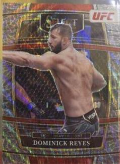Dominick Reyes 2022 Panini Select UFC Concourse #48 Elephant