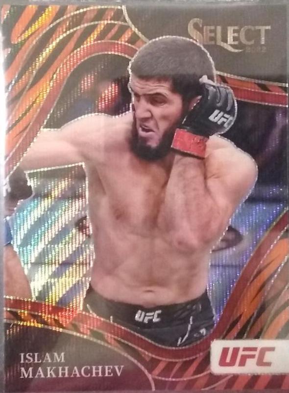 Islam Makhachev 2022 Panini Select UFC Octagonside #207 Tiger