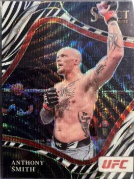 Anthony Smith 2022 Panini Select UFC Octagonside #228 Zebra