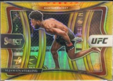 Aljamain Sterling 2021 Panini Select UFC Octagonside #206 Gold