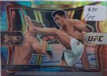 Dominick Cruz 2021 Panini Select UFC Premier Level #111 Tie Dye