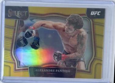 Alexandre Pantoja 2023 Panini Select UFC Octagonside #252 Gold