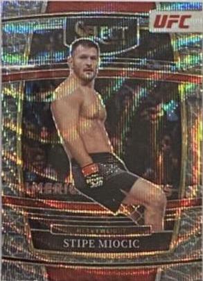 Stipe Miocic 2022 Panini Select UFC Concourse #85 Elephant