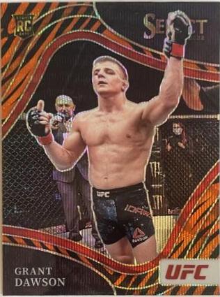 Grant Dawson 2022 Panini Select UFC Octagonside #252 Tiger