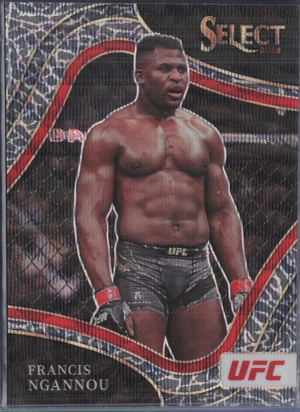 Francis Ngannou 2022 Panini Select UFC Octagonside #239 Elephant