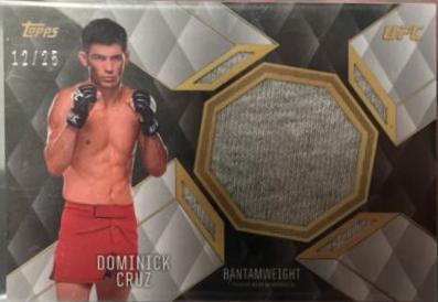 Dominick Cruz 2016 Topps UFC Top of the Class Top of the Class Relics #TCR-DCR Silver