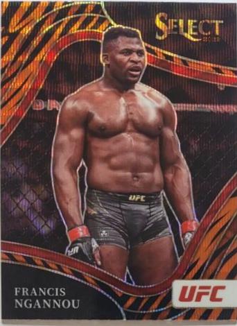 Francis Ngannou 2022 Panini Select UFC Octagonside #239 Tiger