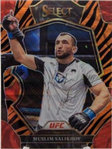 Muslim Salikhov 2023 Panini Select UFC Premier Level #187 Tiger