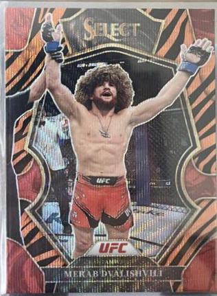 Merab Dvalishvili 2023 Panini Select UFC Premier Level #147 Tiger