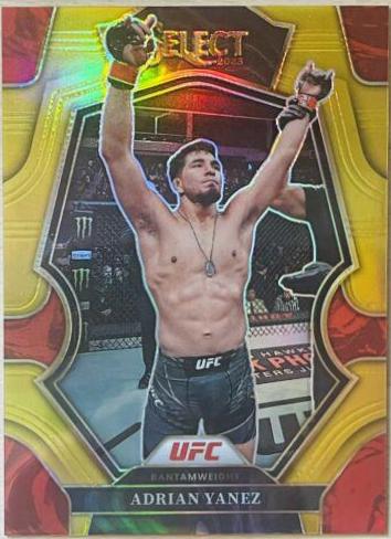 Adrian Yanez 2023 Panini Select UFC Premier Level #108 Gold