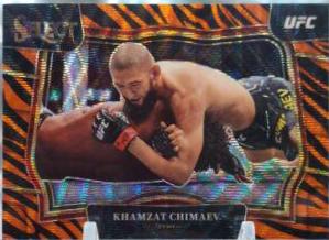 Khamzat Chimaev 2023 Panini Select UFC Octagonside #213 Tiger