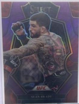 Sean Brady 2023 Panini Select UFC Premier Level #125 Tiger
