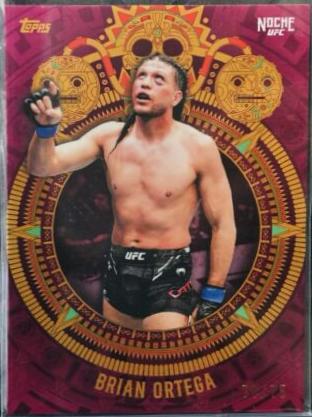 Brian Ortega 2024 Topps Noche UFC Base #5 Pink