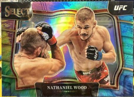 Nathaniel Wood 2023 Panini Select UFC Octagonside #245 Tie Dye