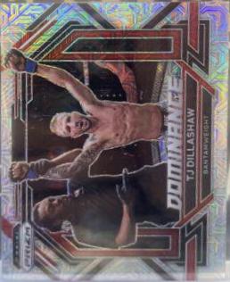 TJ Dillashaw 2023 Panini Prizm UFC Dominance #24 Mojo
