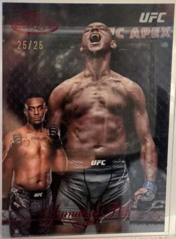 Jamahal Hill 2024 Topps Gold Label UFC Base Class III #51 Red