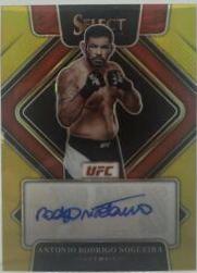 Antonio Rodrigo Nogueira 2022 Panini Select UFC Signatures #4 Gold Flash
