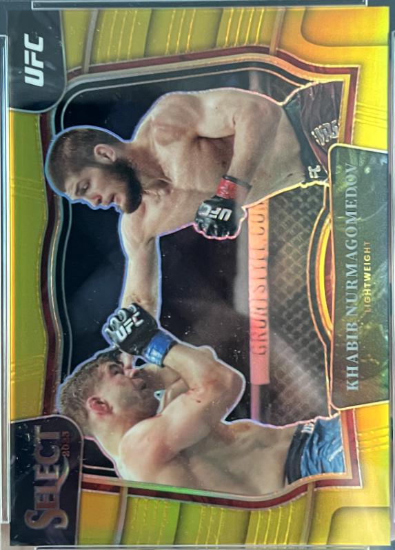 Khabib Nurmagomedov 2023 Panini Select UFC Octagonside #203 Gold