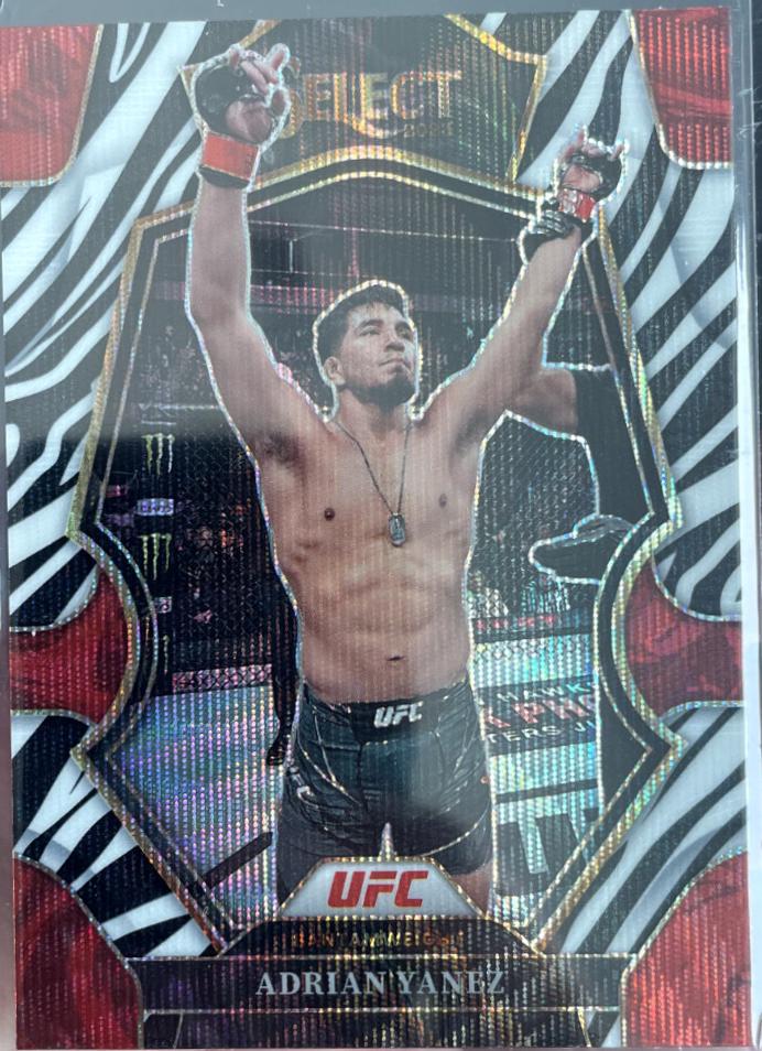 Adrian Yanez 2023 Panini Select UFC Premier Level #108 Zebra