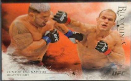 Junior Dos Santos 2014 Topps UFC Bloodlines Base #41 Red