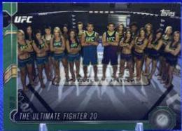 Base 2015 Topps UFC Chronicles Base #251 Red