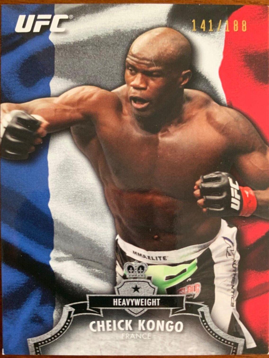 Cheick Kongo, profile card photo