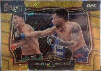 Christian Rodriguez 2023 Panini Select UFC Octagonside #211 Gold