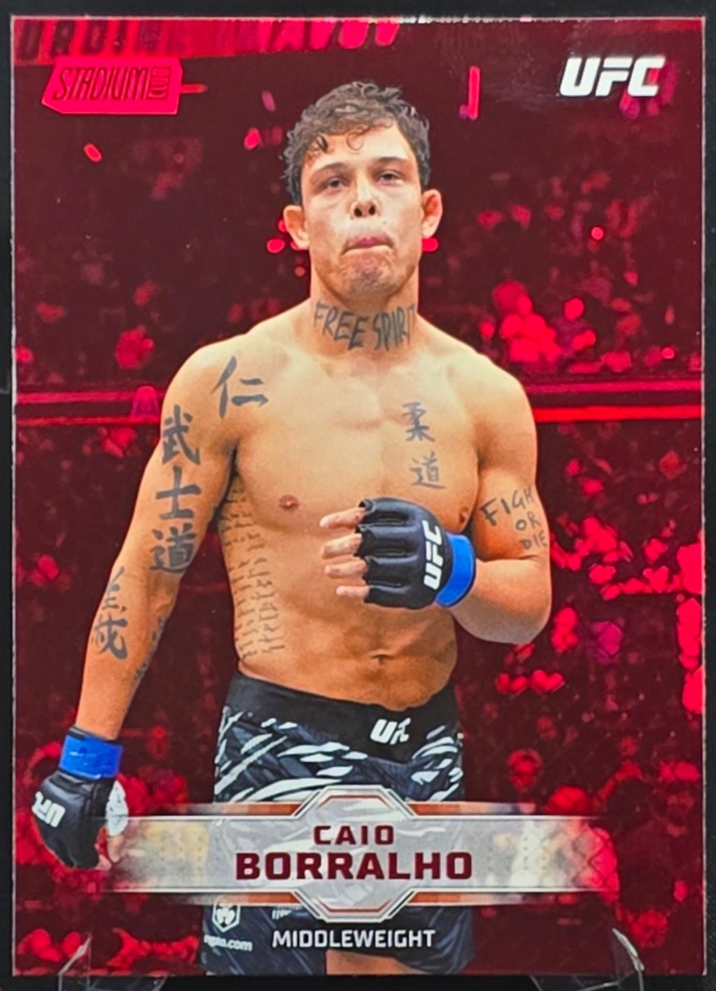 Caio Borralho, profile card photo