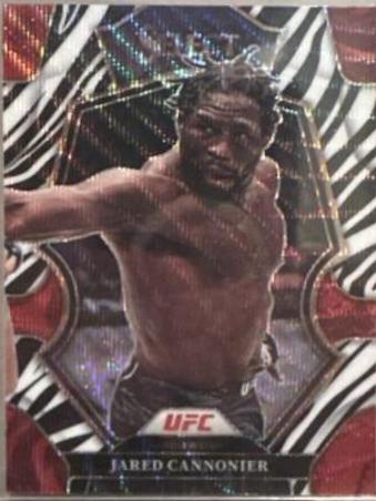 Jared Cannonier 2023 Panini Select UFC Premier Level #193 Zebra