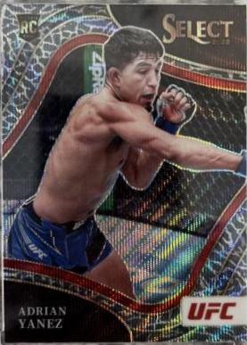 Adrian Yanez 2022 Panini Select UFC Octagonside #280 Elephant