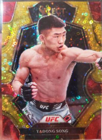 Song Yadong 2023 Panini Select UFC Premier Level #141 Gold Disco