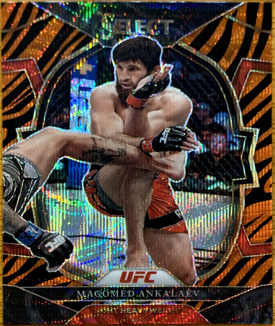 Magomed Ankalaev 2023 Panini Select UFC Concourse #39 Tiger