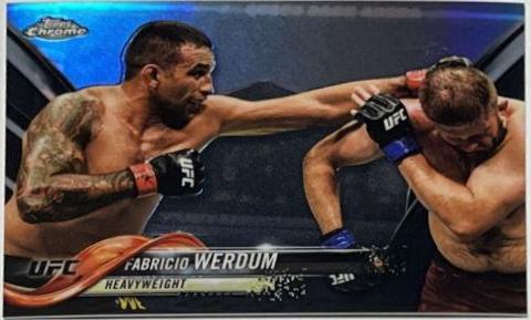 Fabricio Werdum 2018 Topps Chrome UFC Base #29 Black