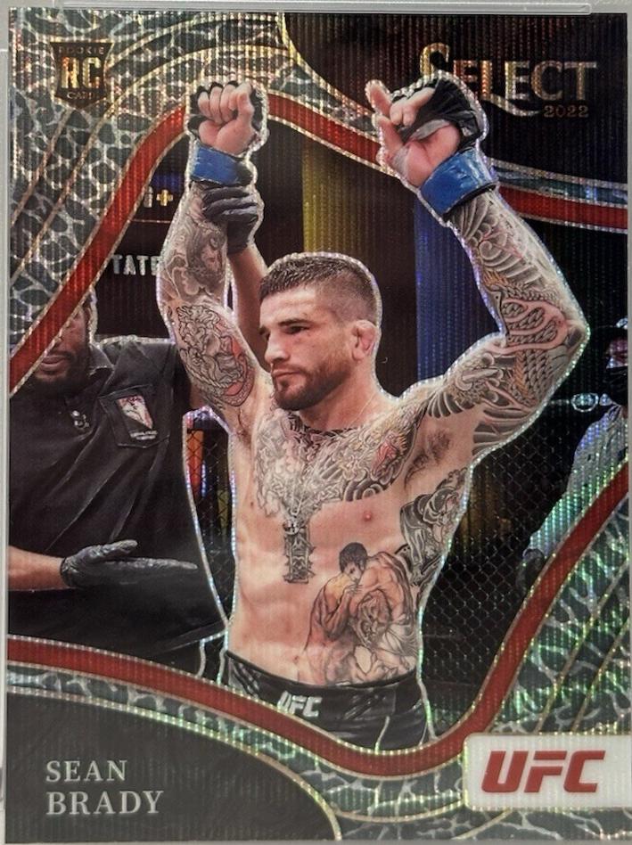 Sean Brady 2022 Panini Select UFC Octagonside #254 Elephant
