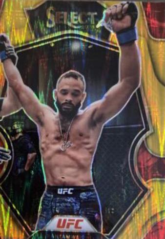 Rob Font 2023 Panini Select UFC Premier Level #189 Gold Flash
