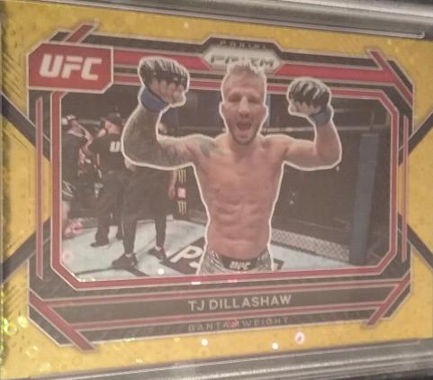 TJ Dillashaw 2023 Panini Prizm Under Card UFC Base #3 Gold