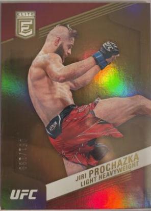 Jiri Prochazka 2023 Panini Chronicles UFC Base Elite #255 Platinum
