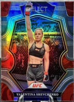 Valentina Shevchenko 2023 Panini Select UFC Premier Level #113 Silver