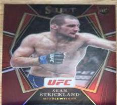 Sean Strickland 2022 Panini Select UFC Premier Level #117 Maroon