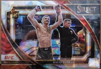 David Dvorak 2023 Panini Select UFC Mezzanine #361 Cracked Ice